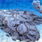 Material Image