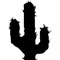 Material Image