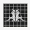 Material Image