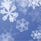 Material Image