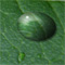Material Image