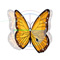 Material Image