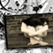 Material Image
