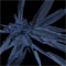 Material Image