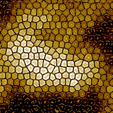 Realistic Honeybee Honeycomb