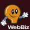 web design from webbizideas