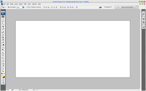 Delicate Text Effect image 01