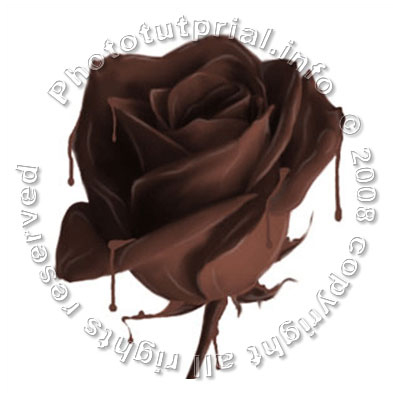 Rose from Chocolate! image 11
