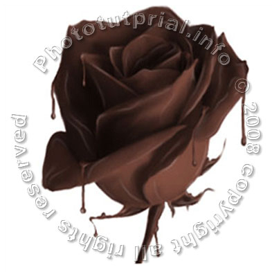 Rose from Chocolate! image 14