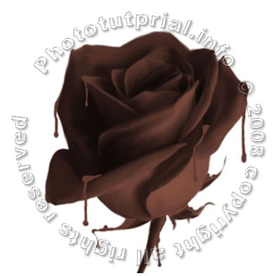 Rose from Chocolate! image 9
