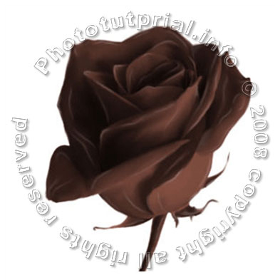 Rose from Chocolate! image 10
