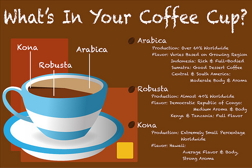 coffee infogram