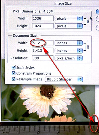 explaining-image-resolution-and-view-print-size-photoshop-basics