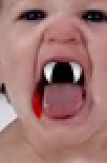 image 30