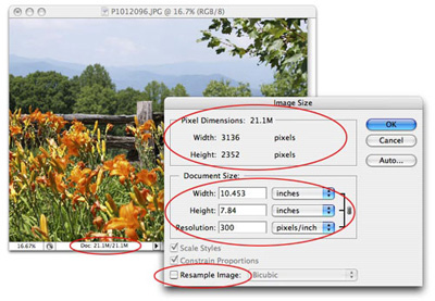 Image Resolution on The Reality Of Resizing  Changing Image Resolution Without Changing