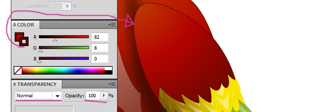 Creating a Realistic Vectorial Macaw | Adobe Illustrator
