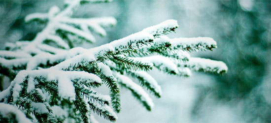 beautiful winter facebook cover photos