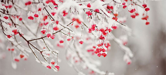 Featured image of post Winter Season Cute Winter Cover Photos For Facebook : Facebook is showing information to help you better understand the purpose of a page.