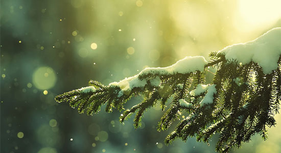 Featured image of post Cute Winter Facebook Cover Photos - Download and use 10,000+ winter stock photos for free.