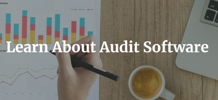 Learn About Audit Software for Useful Businesses